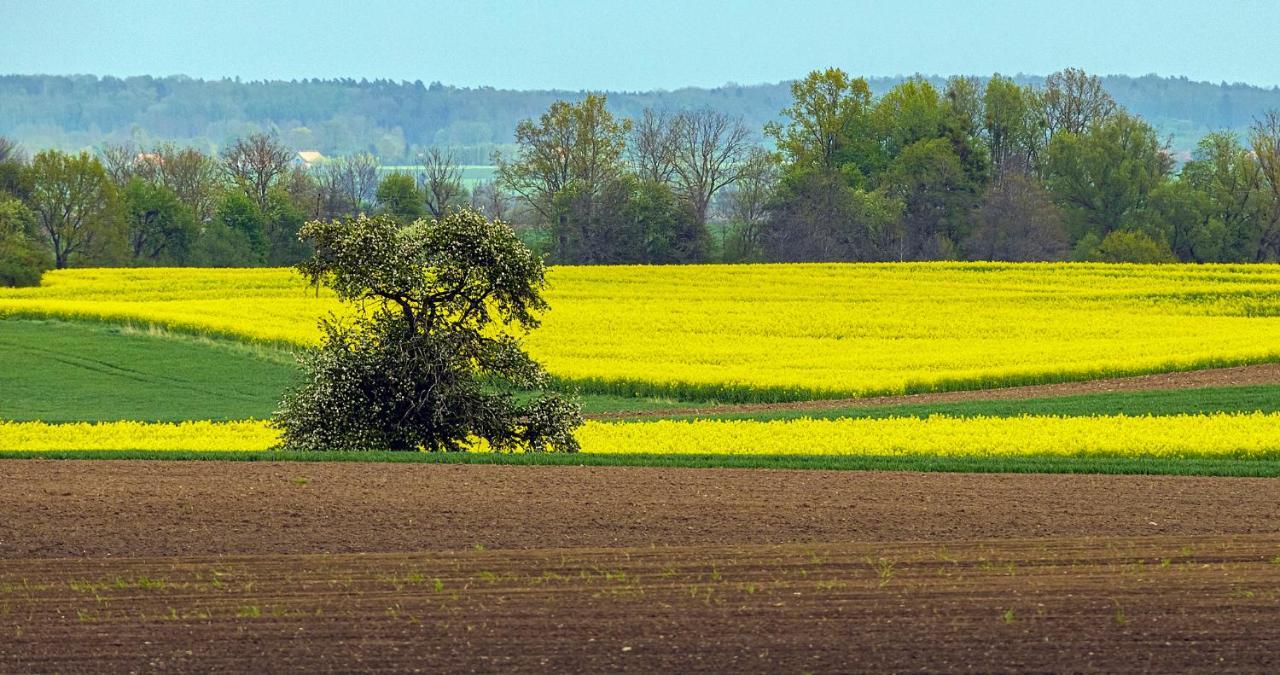 Cztery Luksusowe Domy Na Mazurach, Jezioro Juksty - Sakurarest Sniadowo  Exterior foto